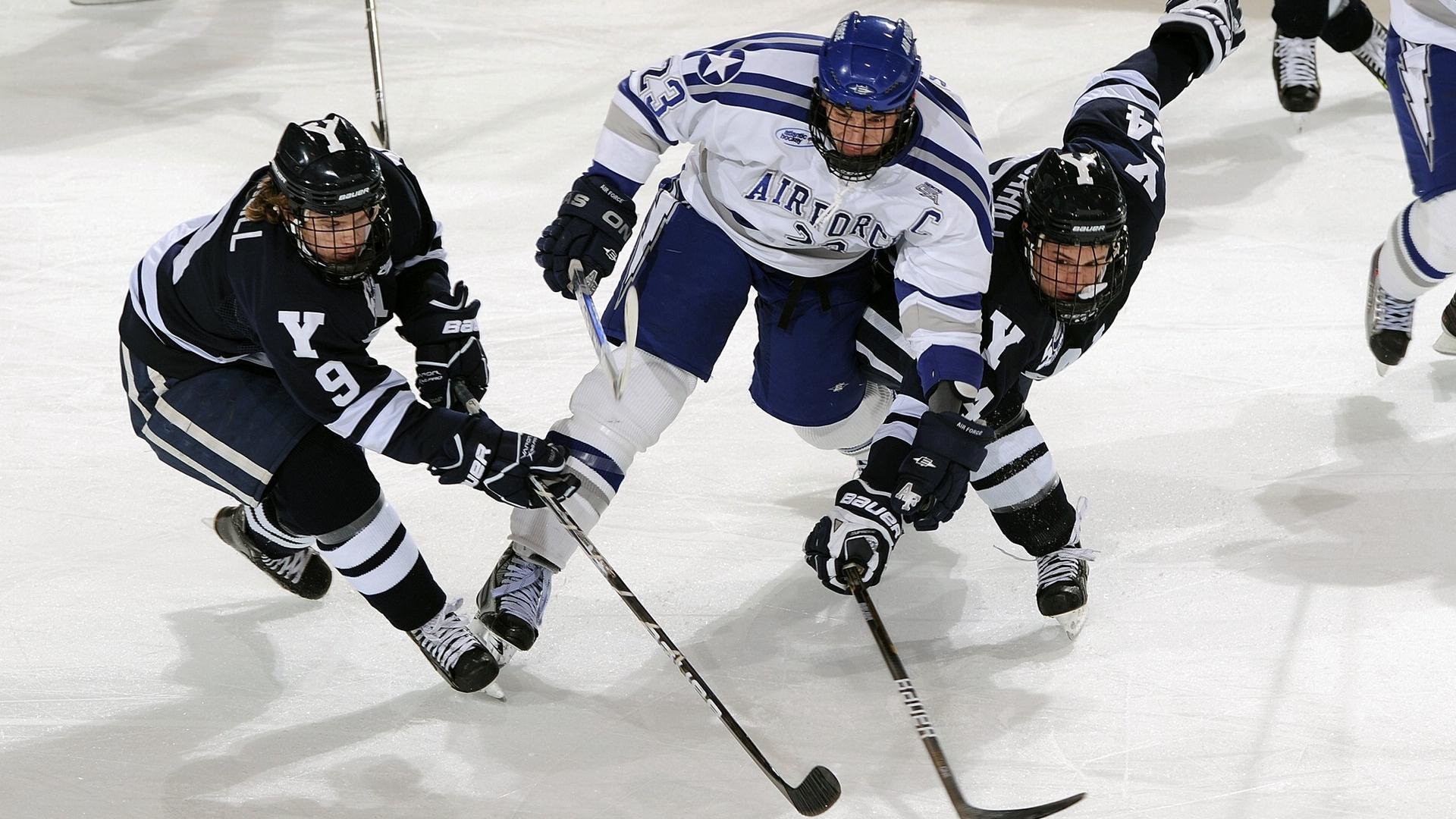 体育新闻中心拓展赛事虚拟互动体验场景,体育赛事新闻报道